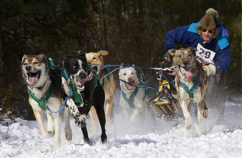 838 - HUSKY RACER 29 - KWAN PHILLIP - canada.jpg